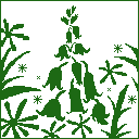 plant-01