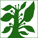 plant-02