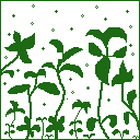 plant-03