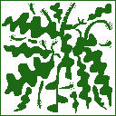 plant-05