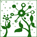 plant-07